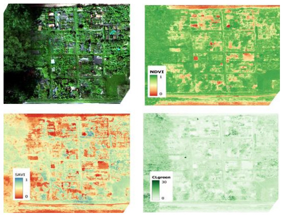 Drohnen-Fotos der Untersuchungsfläche im Sonnengarten Solln. (Precision Agriculture Lab)