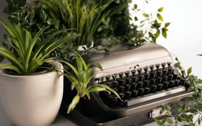 Schreib einen Artikel